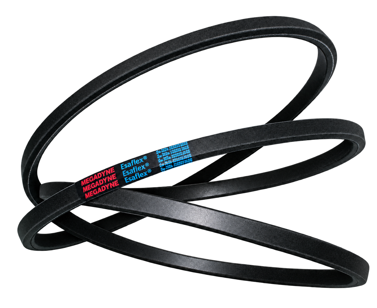 Megadyne Esaflex double sided hexagonal V-belt