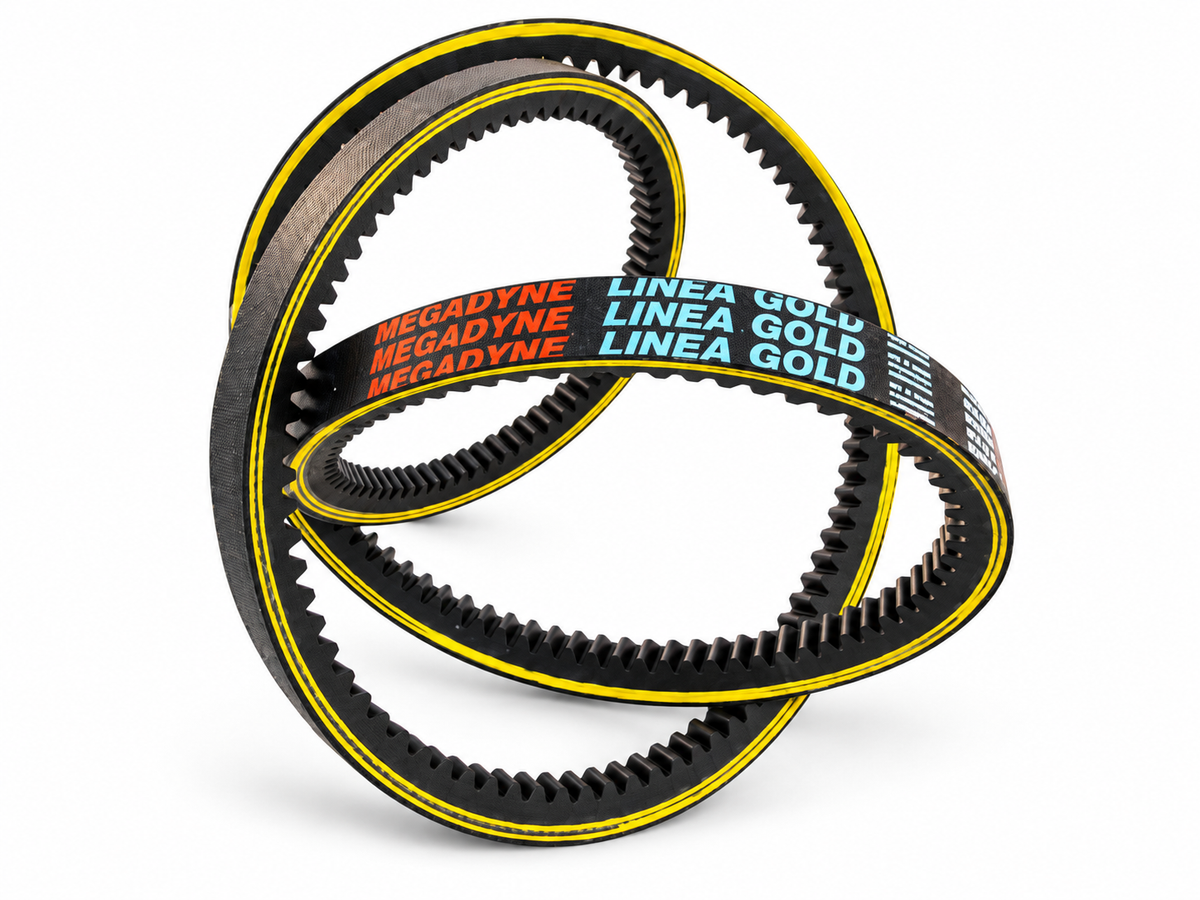 Megadyne Linea Gold premium cogged raw edge V-belt