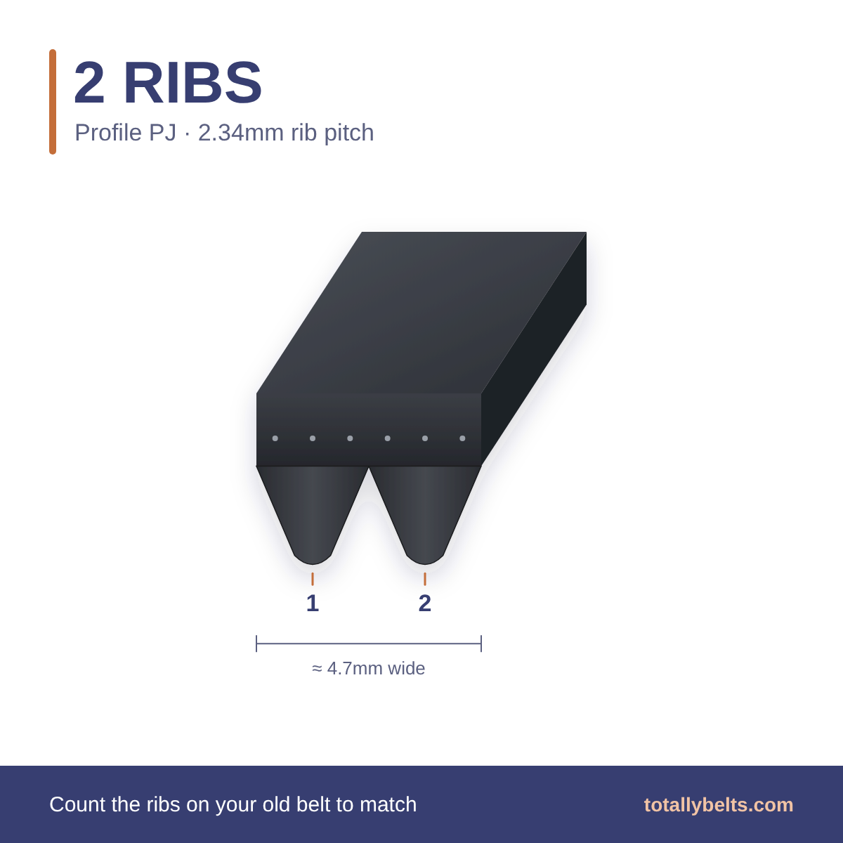 PJ ribbed belt with 2 ribs, numbered