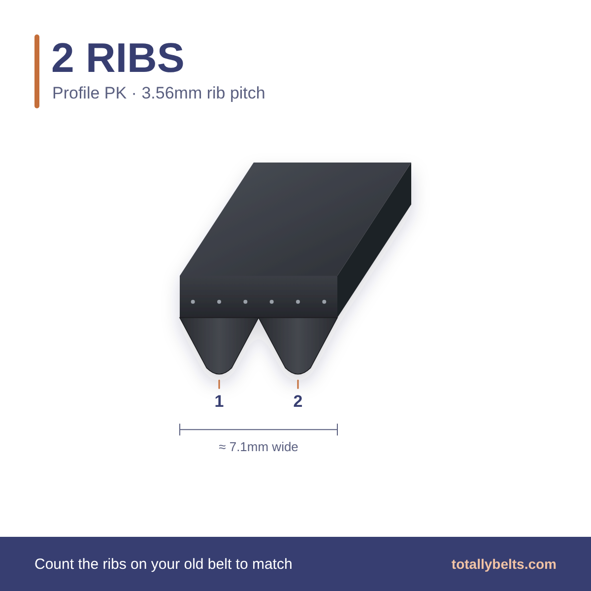 PK ribbed belt with 2 ribs, numbered