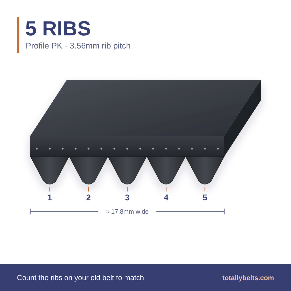PK ribbed belt with 5 ribs, numbered