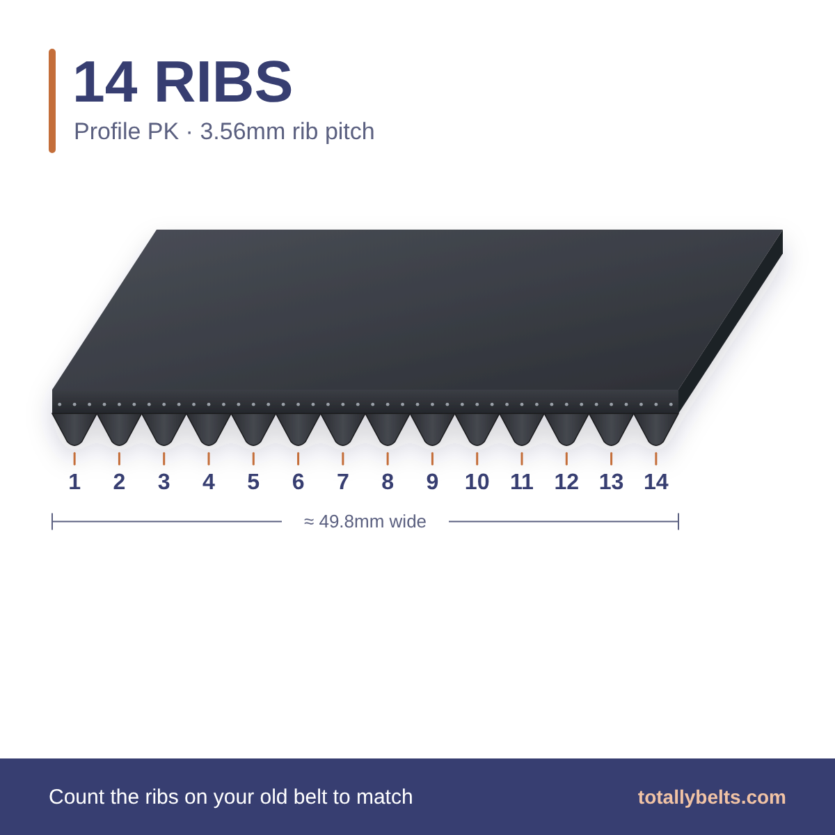PK ribbed belt with 14 ribs, numbered