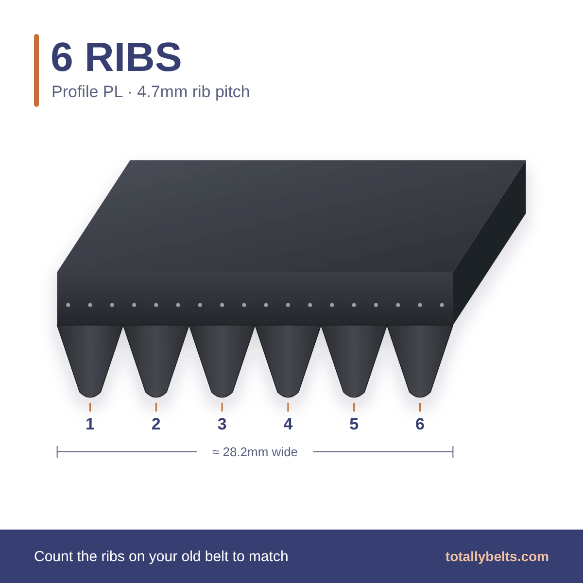 PL ribbed belt with 6 ribs, numbered