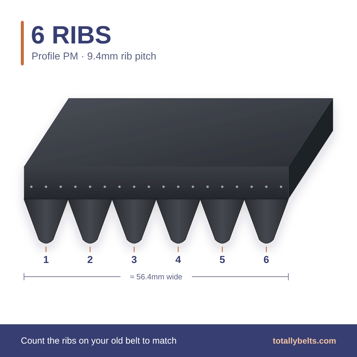 PM ribbed belt with 6 ribs, numbered