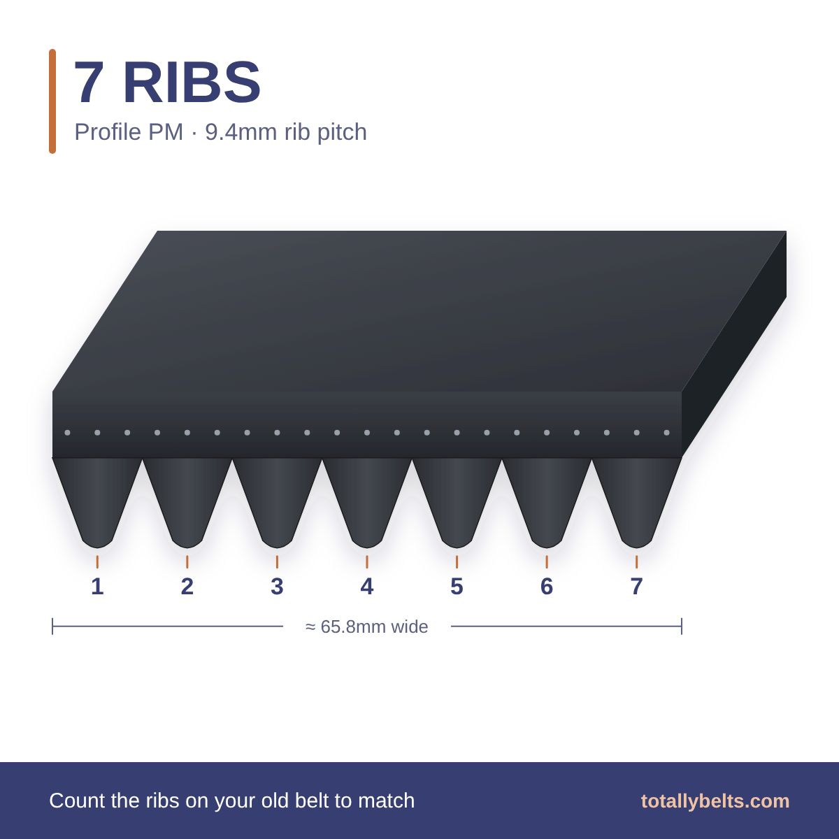 PM ribbed belt with 7 ribs, numbered