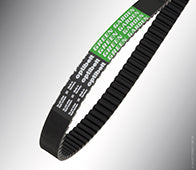 Wolf 0039002 Timing Belt