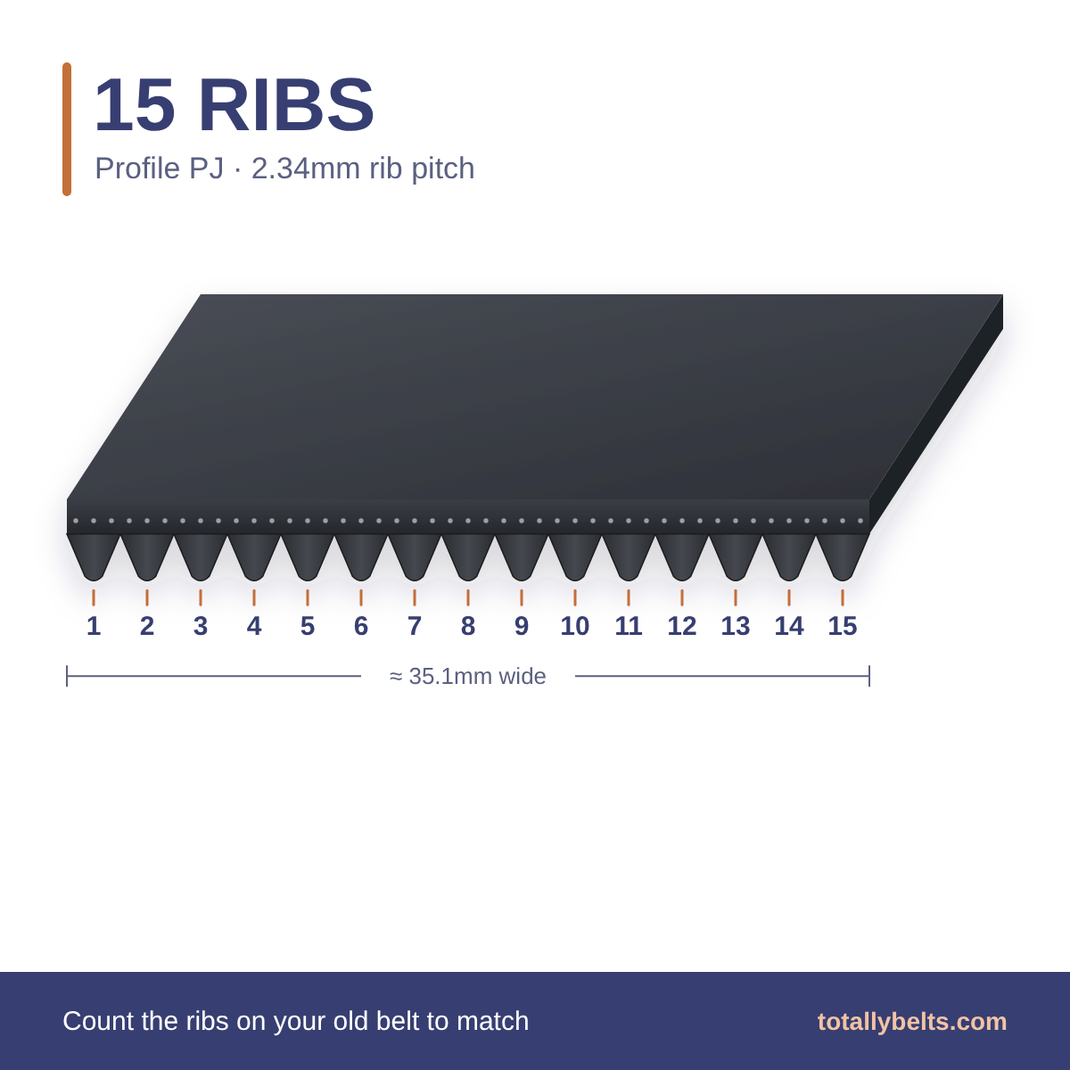 PJ ribbed belt with 15 ribs, numbered