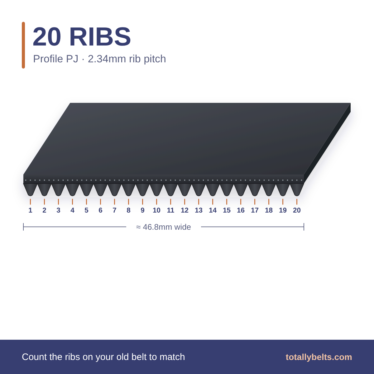 PJ ribbed belt with 20 ribs, numbered