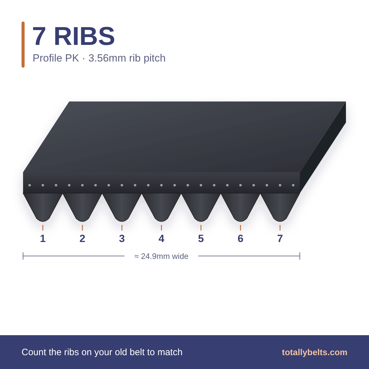 PK ribbed belt with 7 ribs, numbered