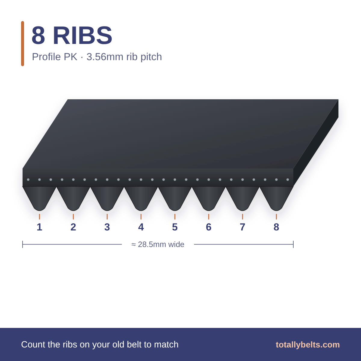 PK ribbed belt with 8 ribs, numbered