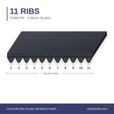 PK ribbed belt with 11 ribs, numbered