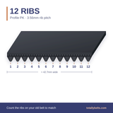 PK ribbed belt with 12 ribs, numbered
