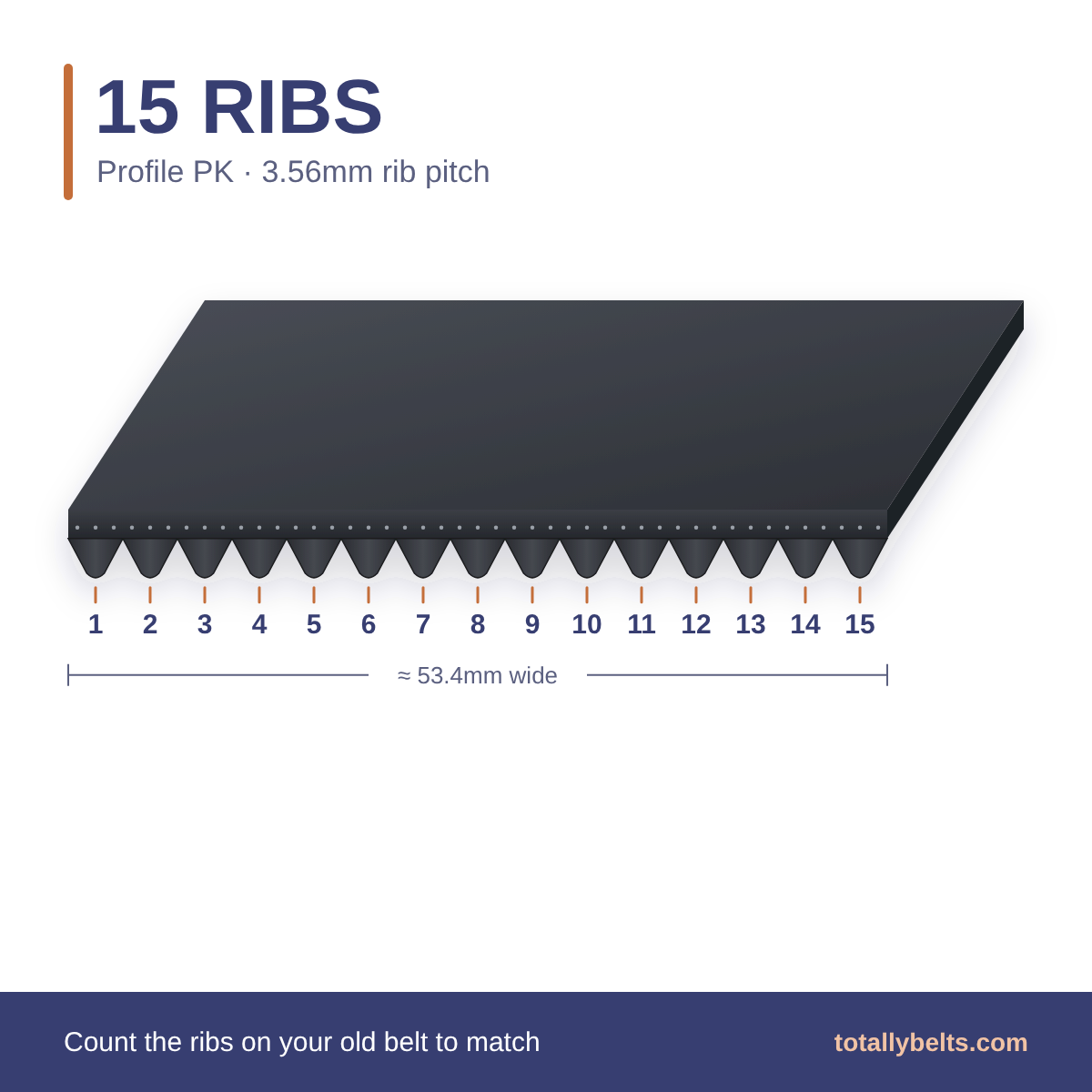 PK ribbed belt with 15 ribs, numbered