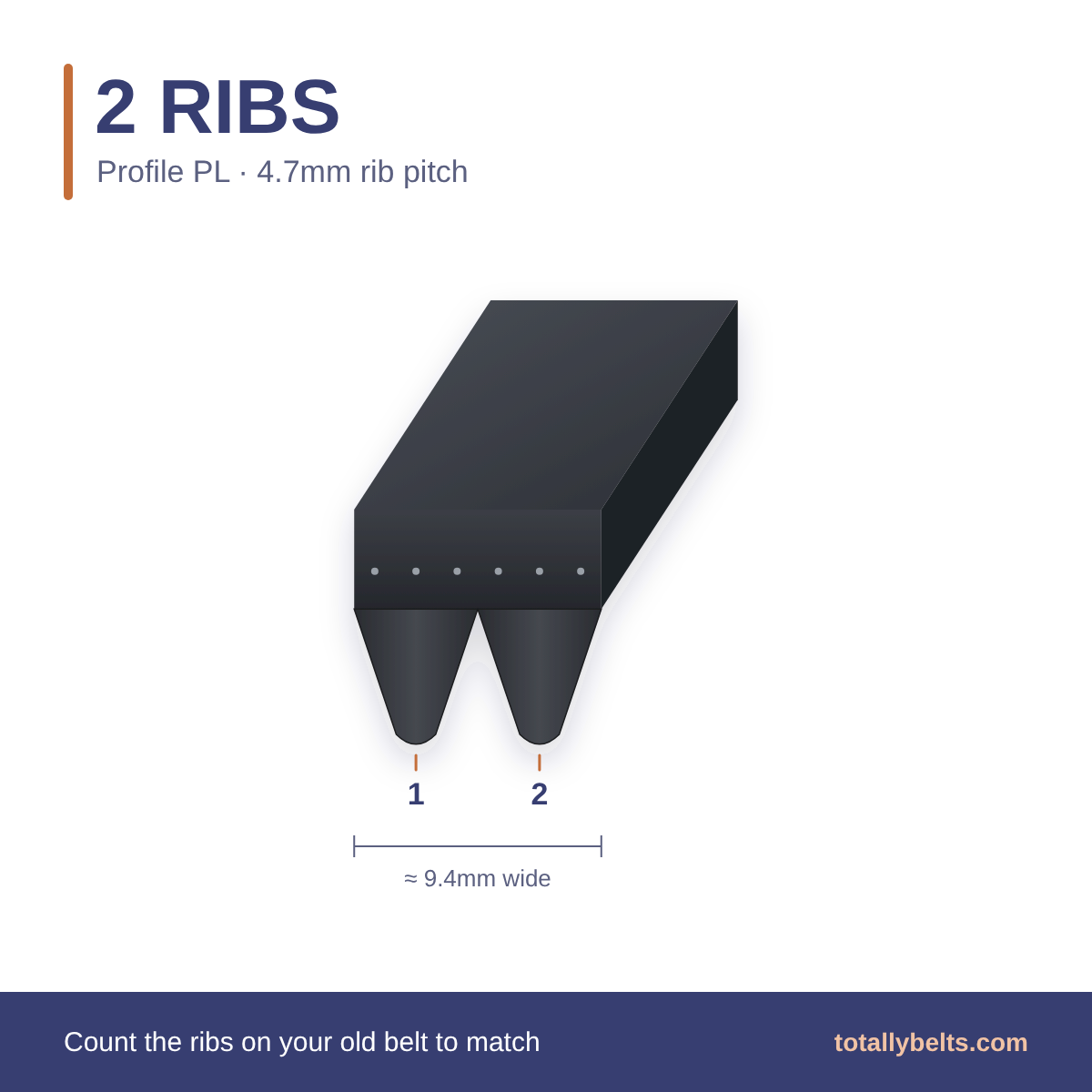 PL ribbed belt with 2 ribs, numbered