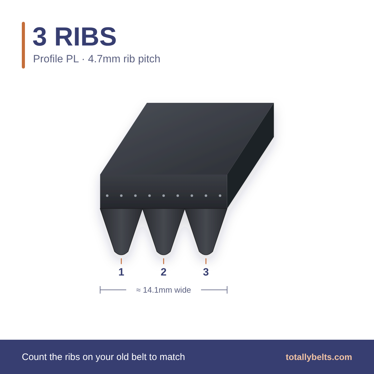 PL ribbed belt with 3 ribs, numbered