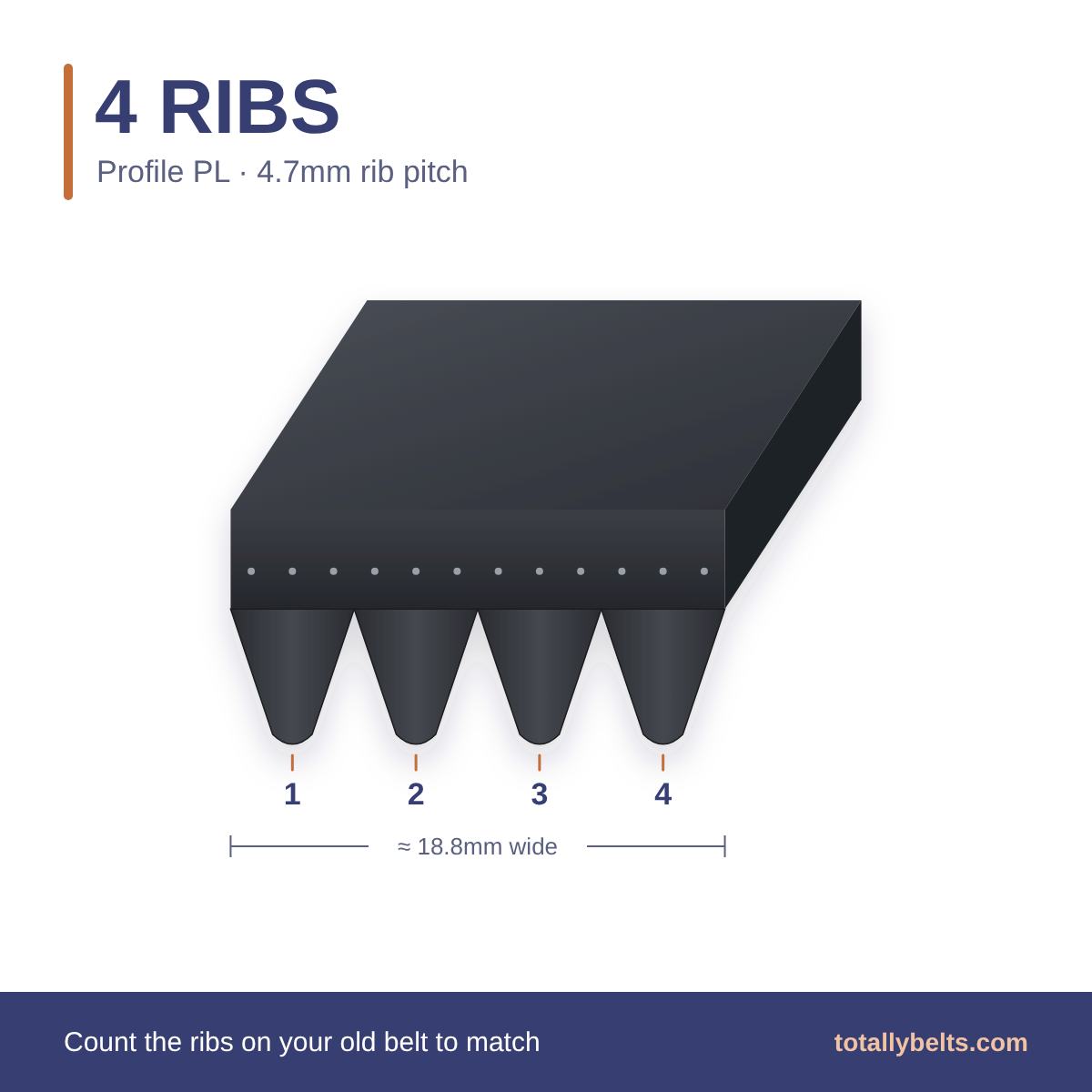 PL ribbed belt with 4 ribs, numbered