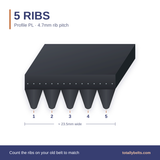 PL ribbed belt with 5 ribs, numbered