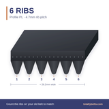 PL ribbed belt with 6 ribs, numbered