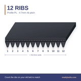 PL ribbed belt with 12 ribs, numbered