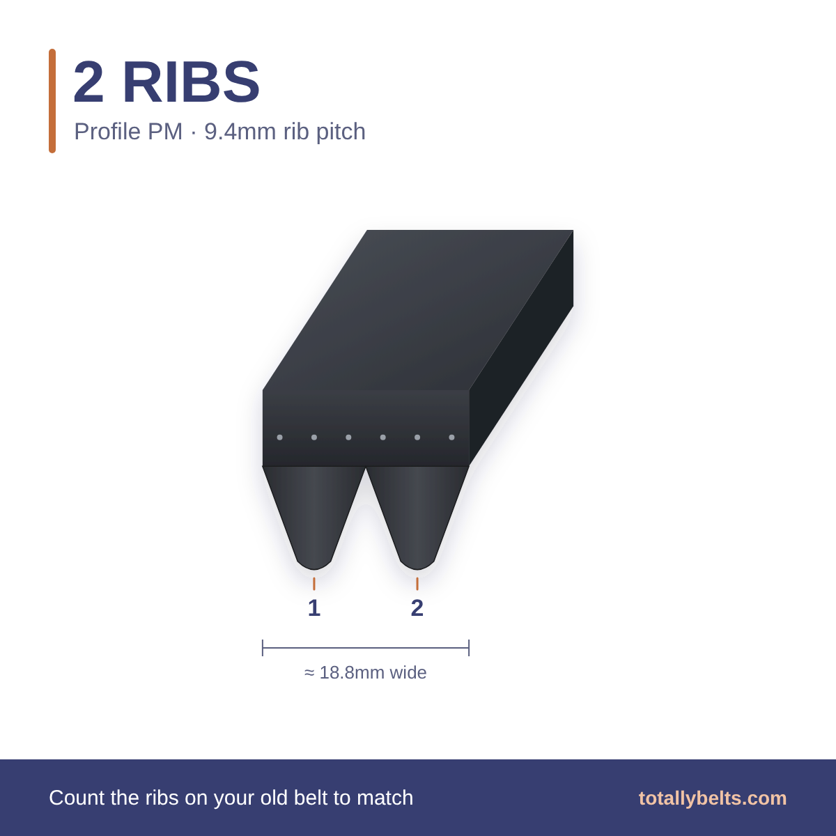 PM ribbed belt with 2 ribs, numbered