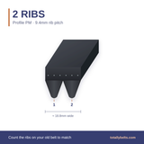 PM ribbed belt with 2 ribs, numbered