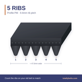 PM ribbed belt with 5 ribs, numbered