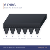 PM ribbed belt with 6 ribs, numbered