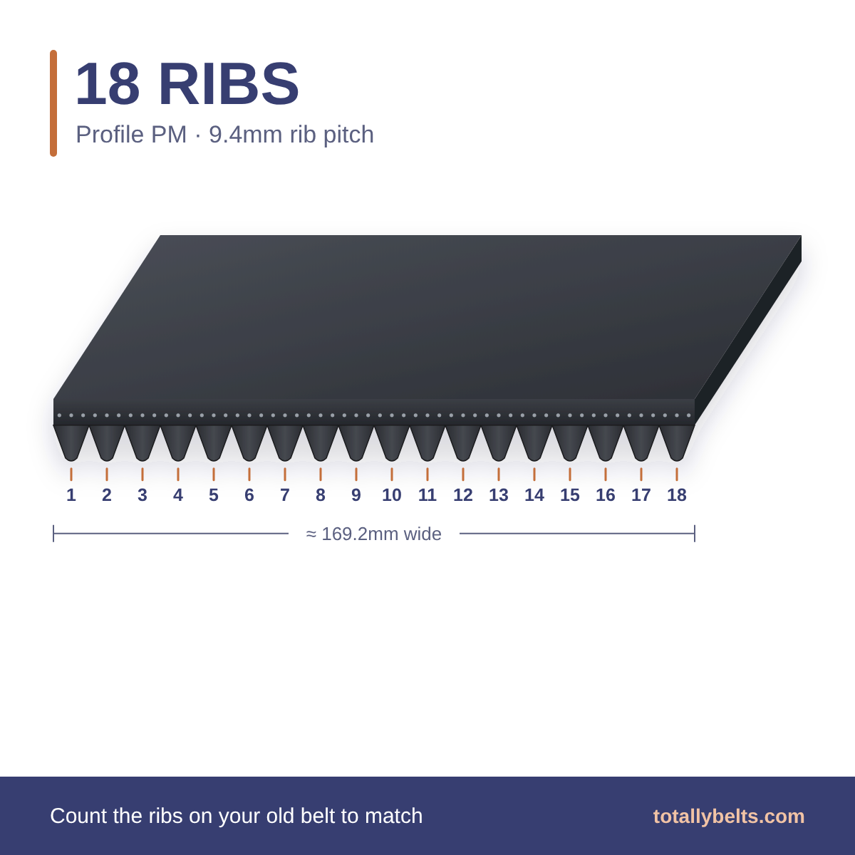 PM ribbed belt with 18 ribs, numbered