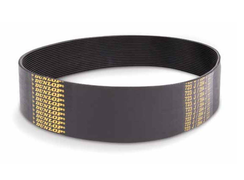 Dunlop Ribbed (Poly-V) Belt - 10 RIBS / 10J381