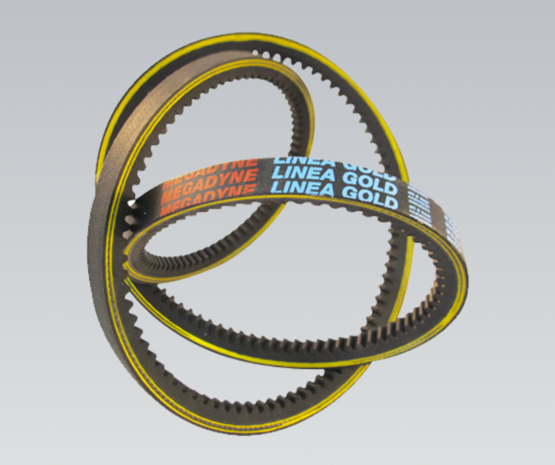 Megadyne Gold Label Cogged Wedge Belt XPC3550 / 3580